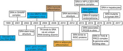 New Insights Into the Long Non-coding RNA SRA: Physiological Functions and Mechanisms of Action